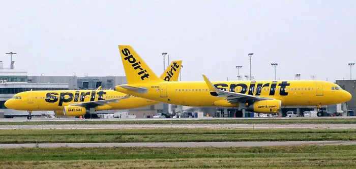 Never Fly “Spirit”