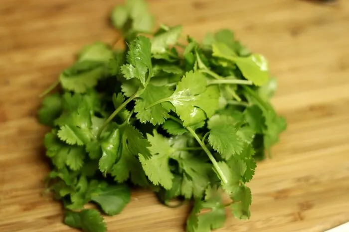 Cilantro