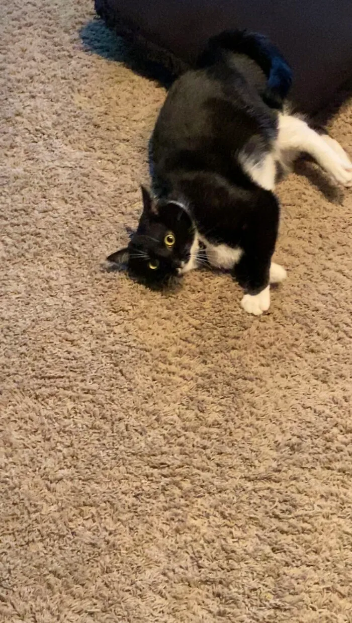 My Lovely Luna
