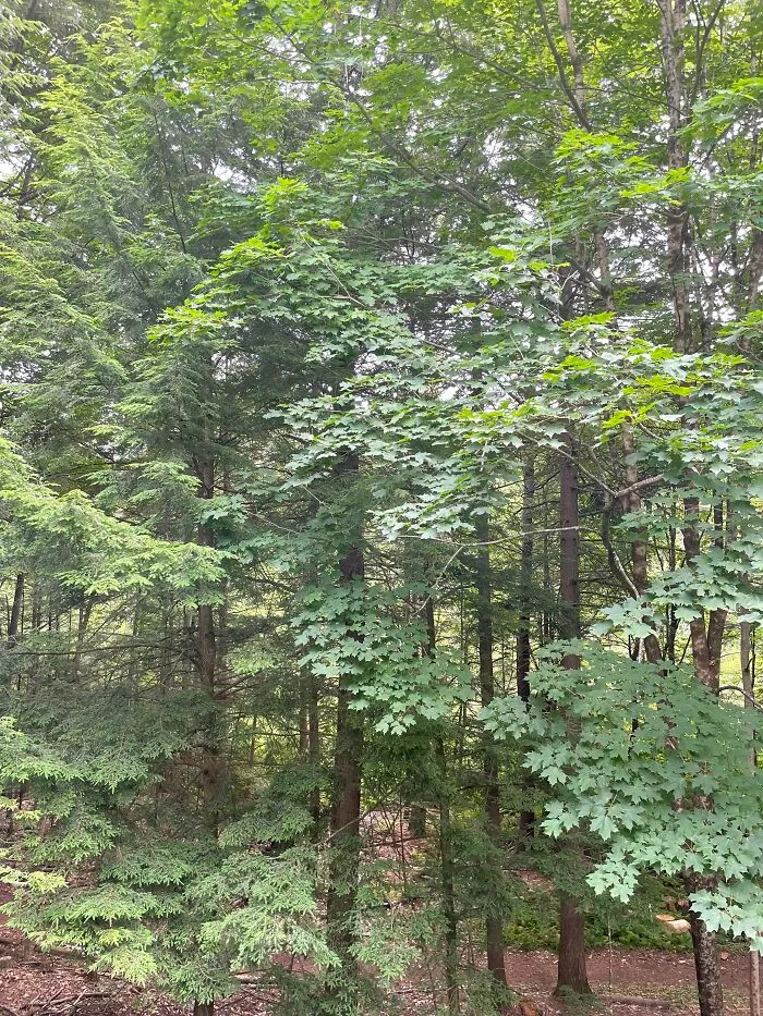 I Made A Small Collection Of My Nature Photography (18 Pics)