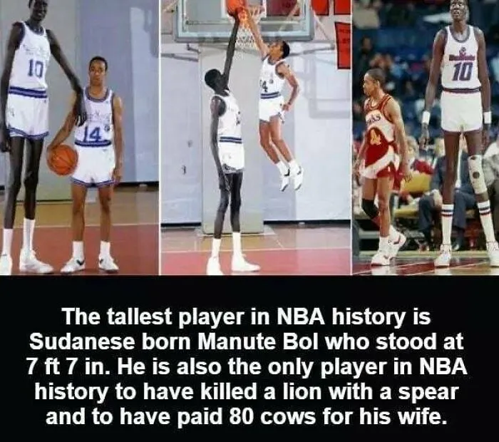 50 Random Facts That Seem Too Hard To Believe Yet Are Completely True, As Shared On This Encyclopedic Instagram Account