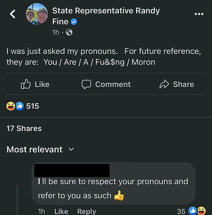 How Do Pronouns Work