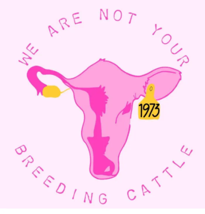 This Pro-Abortion Poster