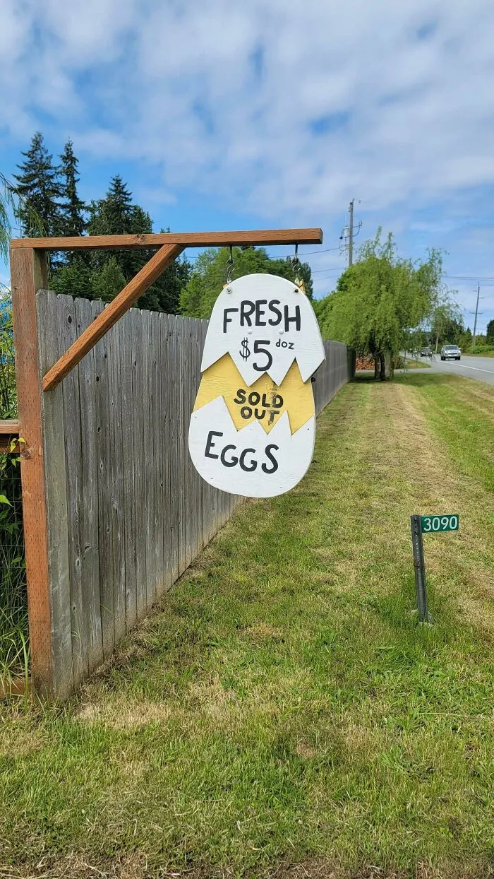 Creative design idea with a cracked egg shaped sign advertising fresh eggs priced at 5 dollars per dozen.
