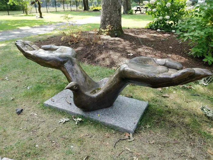 Un pájaro con manos humanas