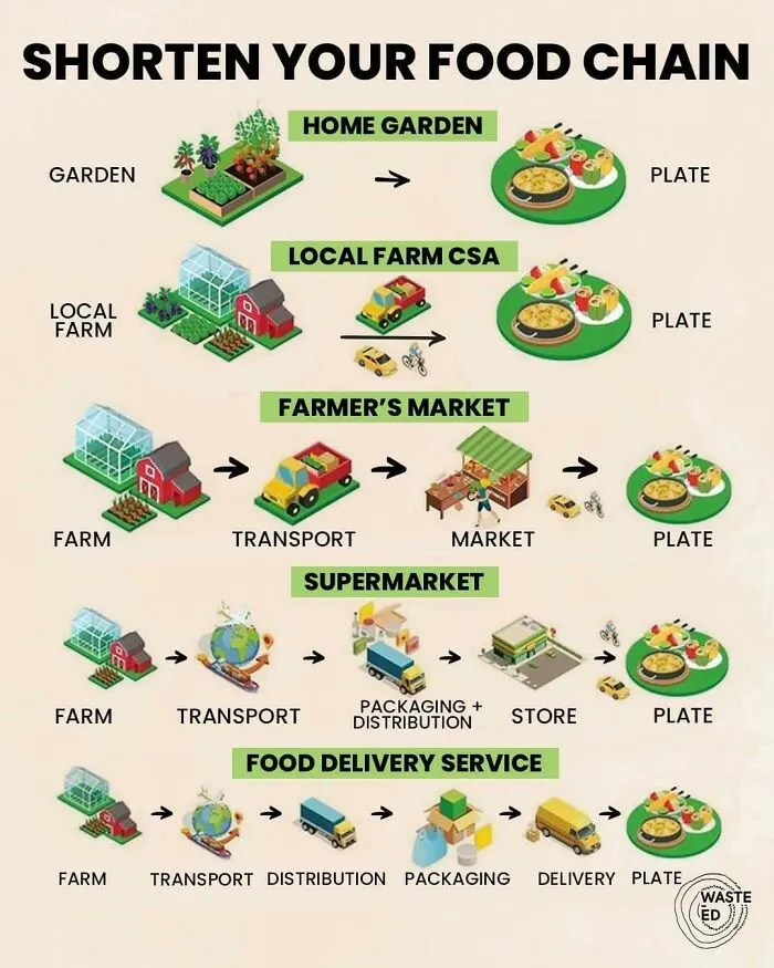 Discussion: Shorten Your Food Chain
