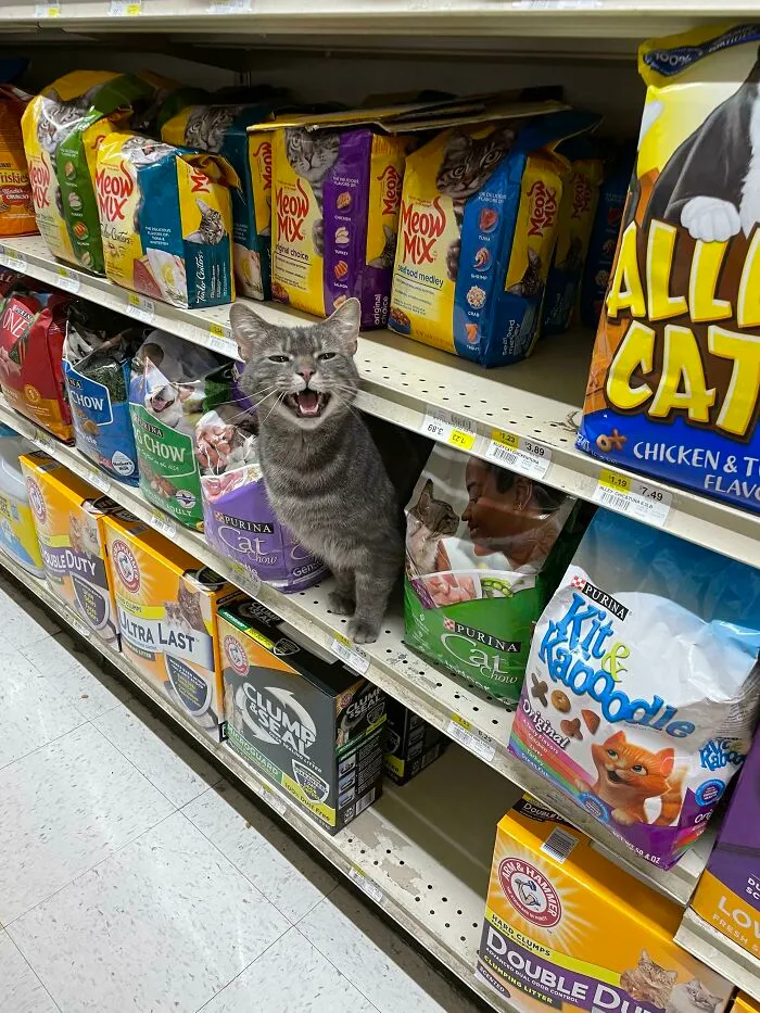 Una muchacha comenzó a gritarme mientras yo hacía las compras