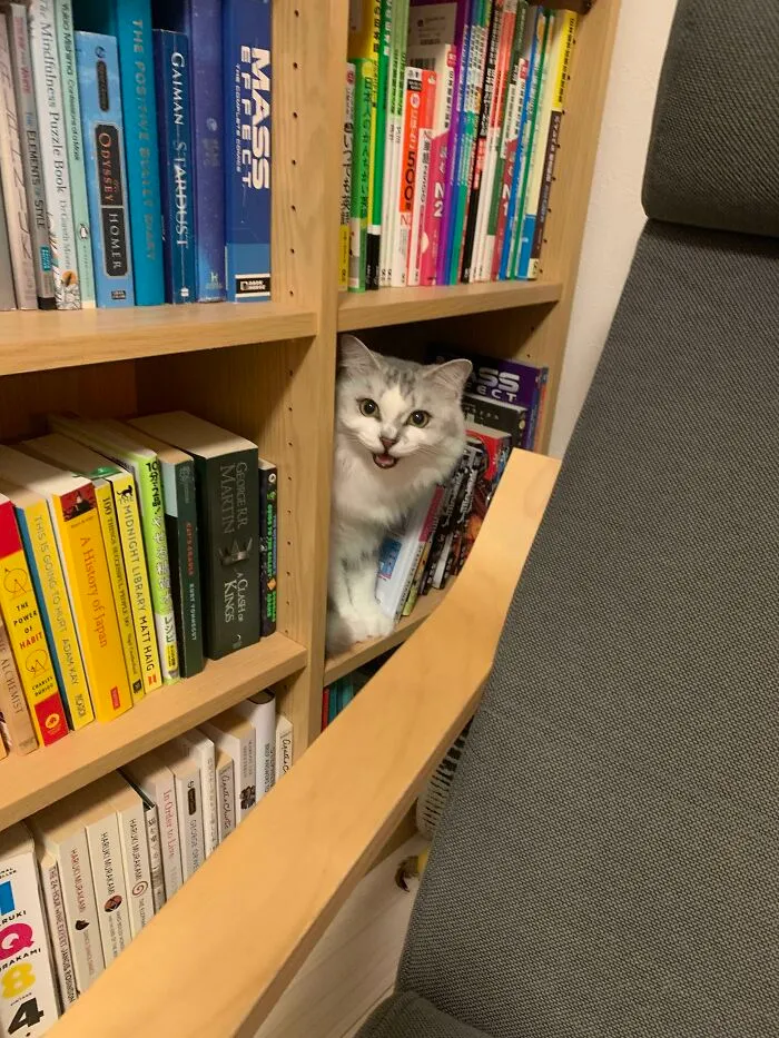 The Yelling Book