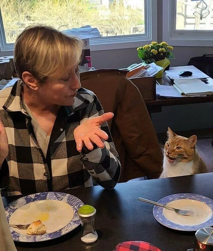 My Mom And Fred Arguing During Easter Brunch