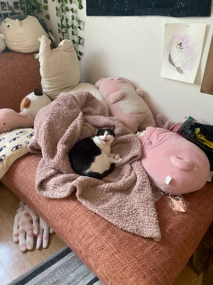She Was Napping