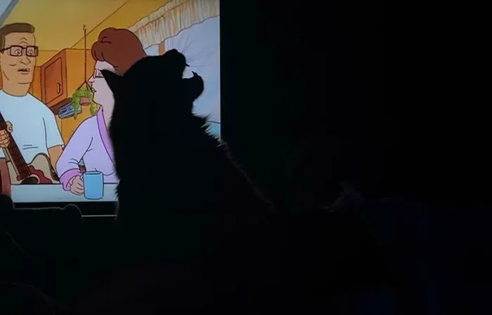 Welcome To Purrassic Park