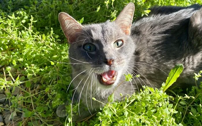 Rudy Managed To Stick Around For One Last Weekend- Thank You, Sweet Man. 13 Years Of Your Love Makes Me Feel Beyond Words Right Now