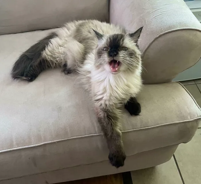 It’s His 14th Birthday Today!