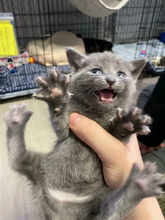 Grabbed And Yelling