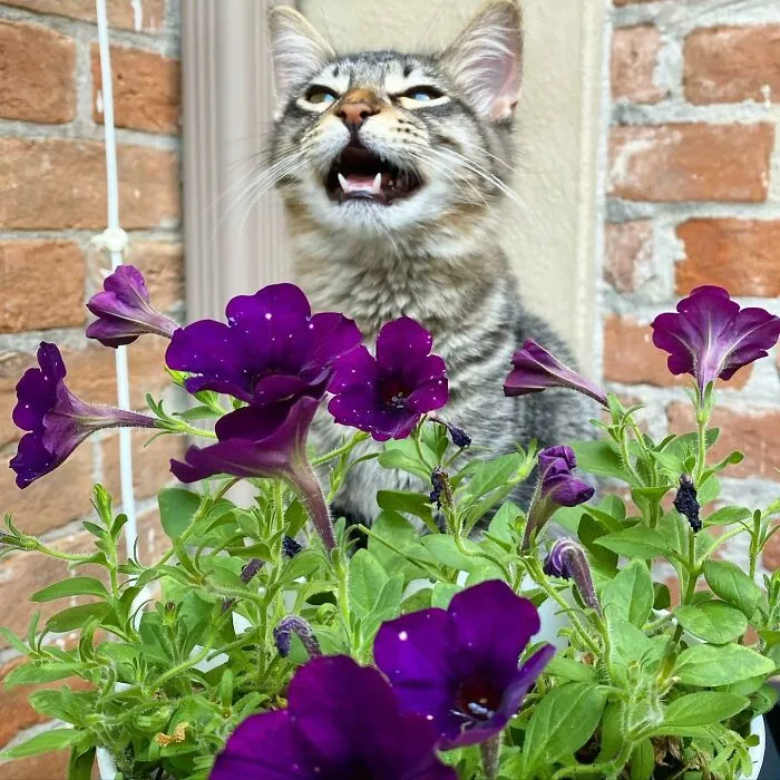 Arrow, Very Excited To Be Outside