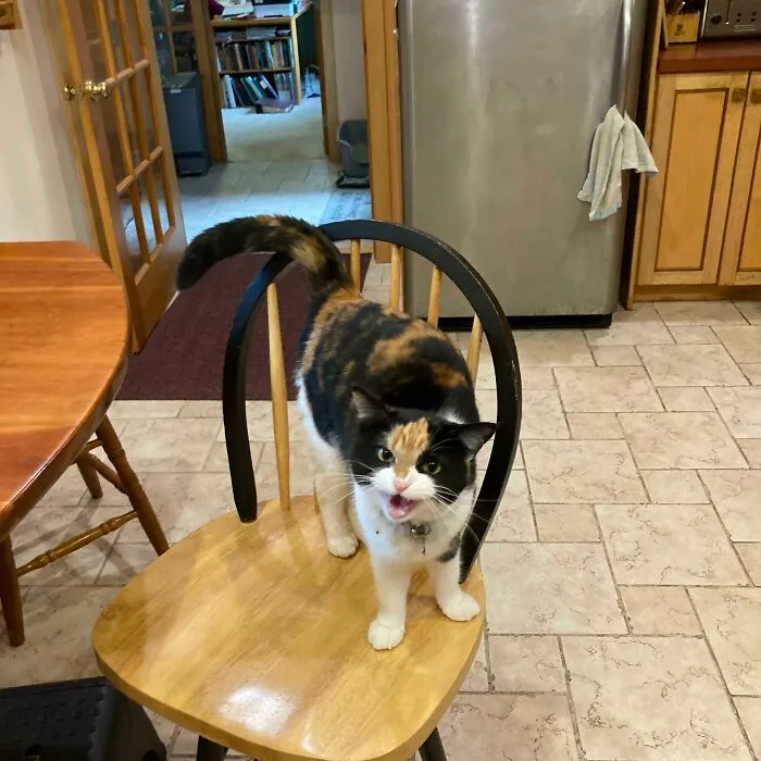 Loosey Isn’t Sure That You Really, Truly Understand About Second Breakfast