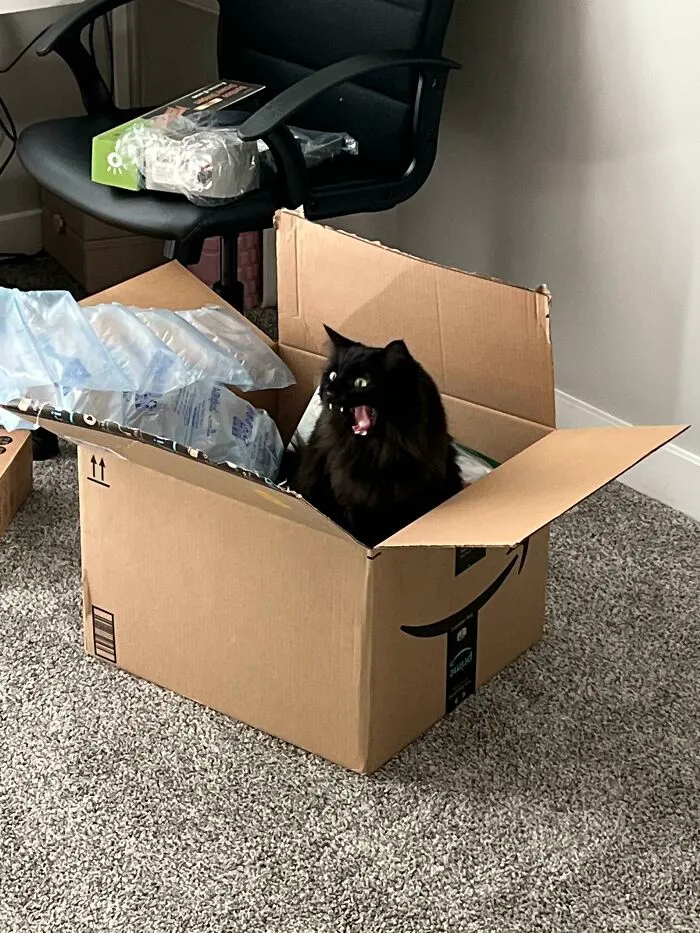 Very Excited For Amazon