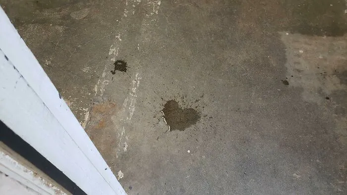 Today Is The One-Year Anniversary Of My Wife's Passing. As I Walked Into My Shop, I Spilled My Water. She Gave Me A Reminder That Today Will Be Just Fine