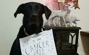 50 Wholesome Posts To Show There's Still Good In The World, As Shared In This Online Community