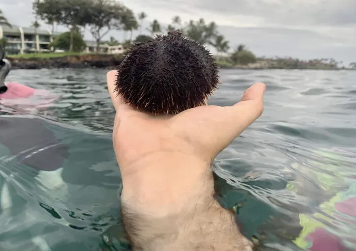 Thought This Was A Picture Of A Guy Swimming In The Ocean