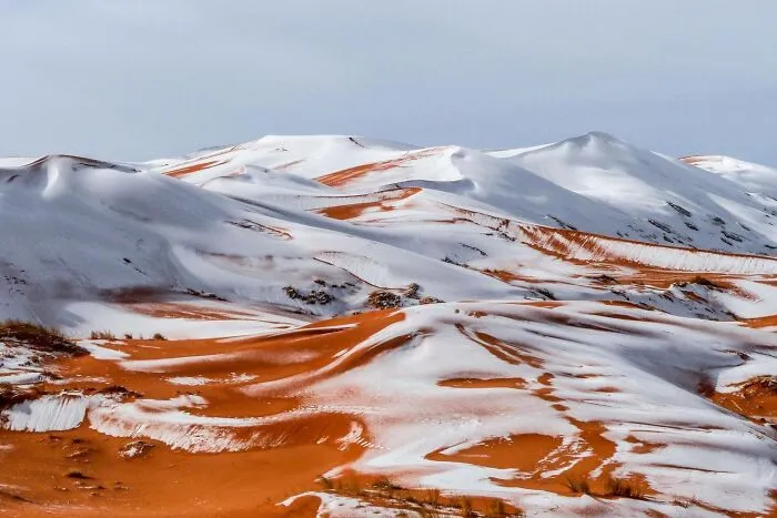 The Sahara Desert With A Snowfall On It