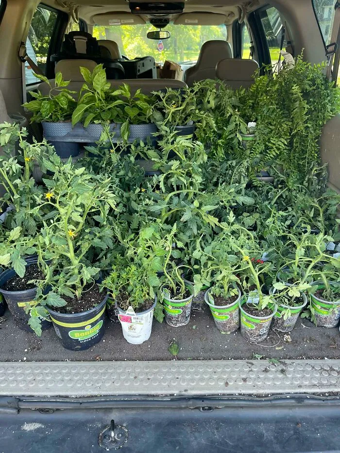 This Is My Third Load Of This Size, And Much More Left