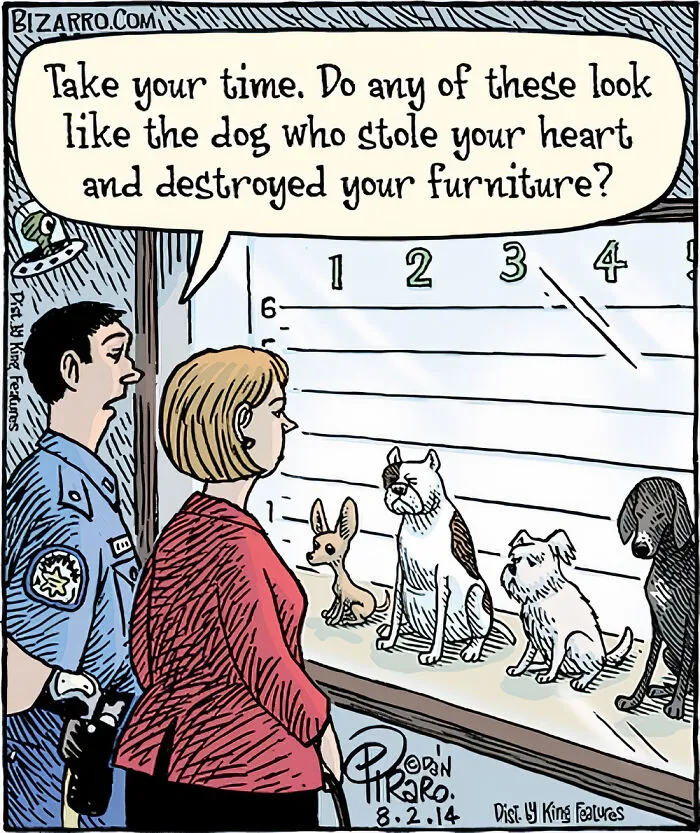 30 Silly And Funny Single-Panel Comics About Absurd Situations By Dan Piraro