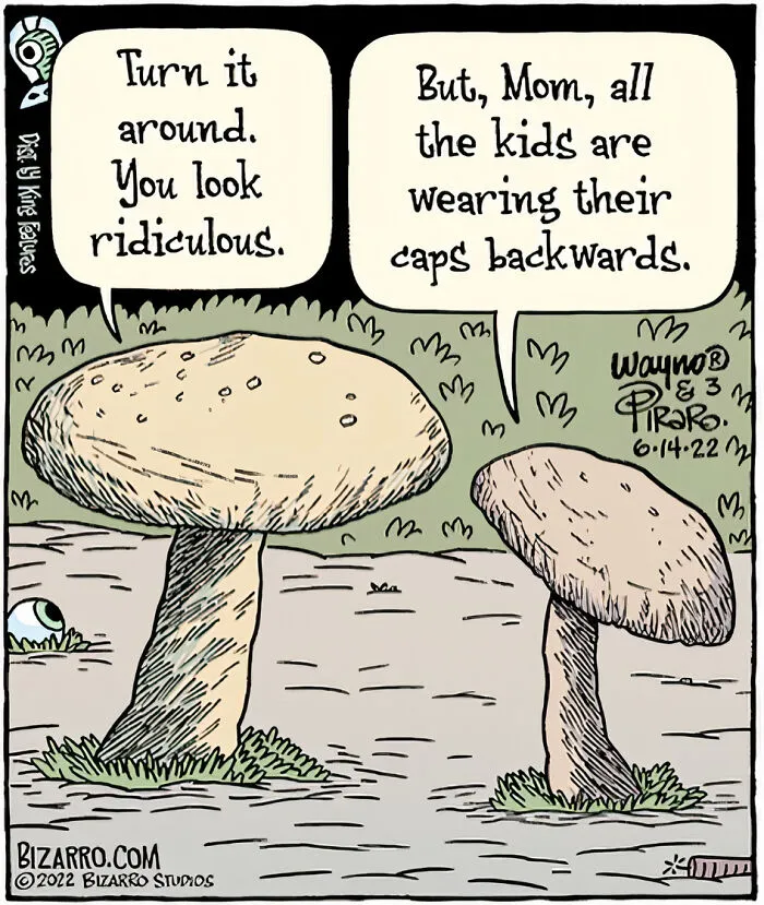 30 Silly And Funny Single-Panel Comics About Absurd Situations By Dan Piraro