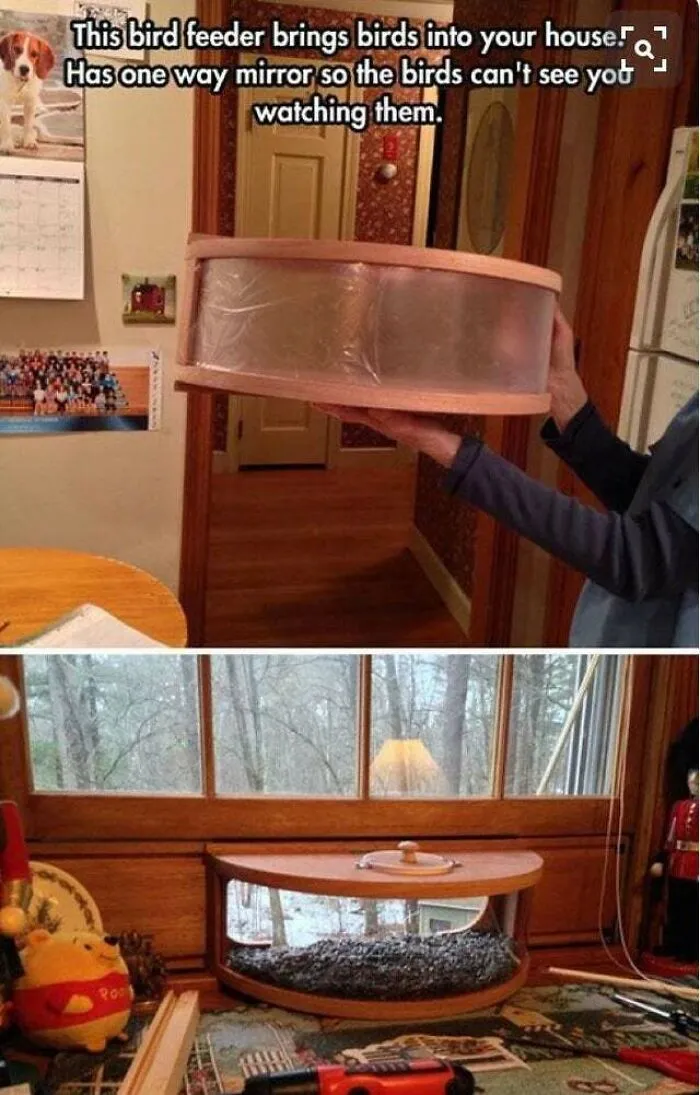 Internal House Bird Feeder With Two Way Mirror