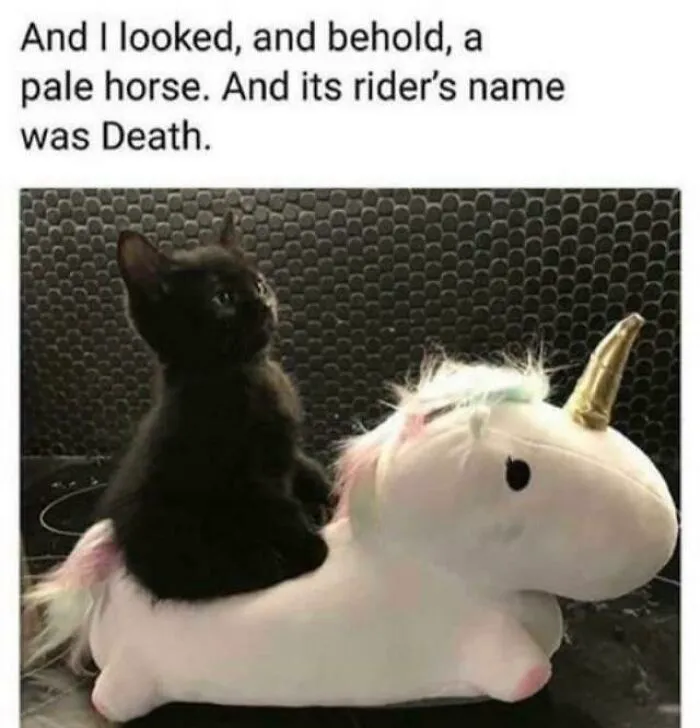 Thanks, I Love It.