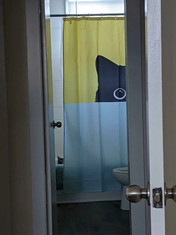 I Looked Over, And My Cat Was Doing The Same Thing As The Curtain