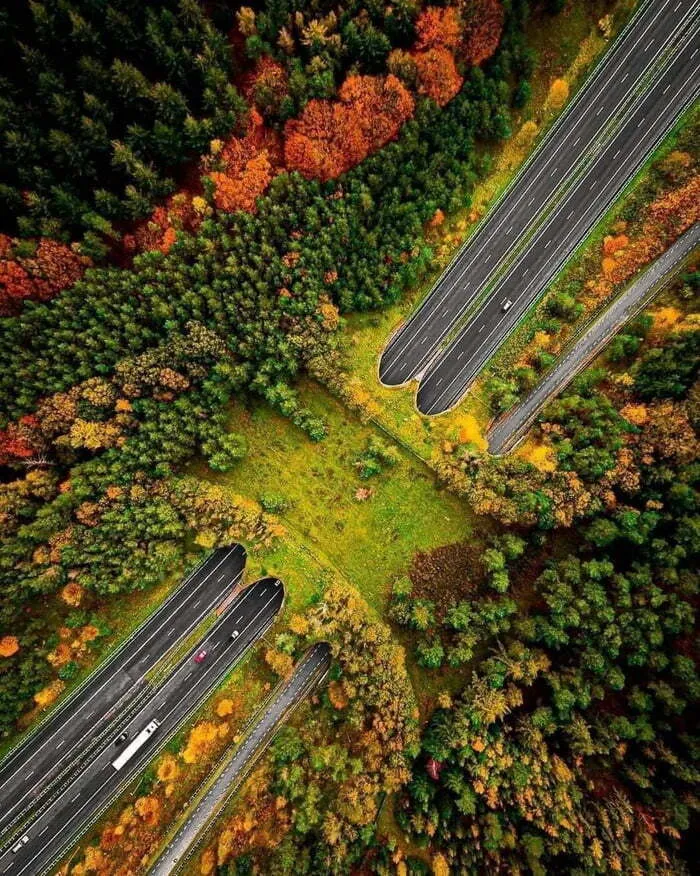 Netherlands Land Bridge