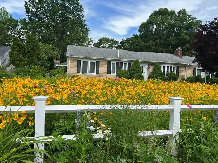 Someone On My Street Said “No” To Big, Wasteful Lawns