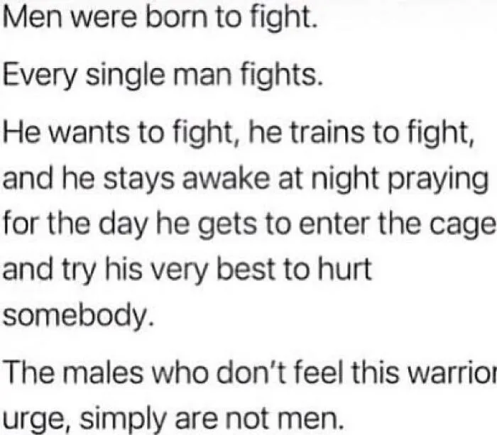 Tiktok Creator Says That If You Don’t Have The Unbridled Desire To Fight People You’re Not A Real Man