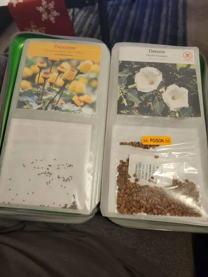Hice un libro de semillas con un estuche para CDs