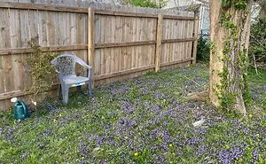 50 Of The Best Pics From The ‘Gardening’ Online Group (New Pics)