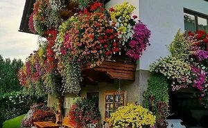 50 Of The Best Pics From The ‘Gardening’ Online Group (New Pics)