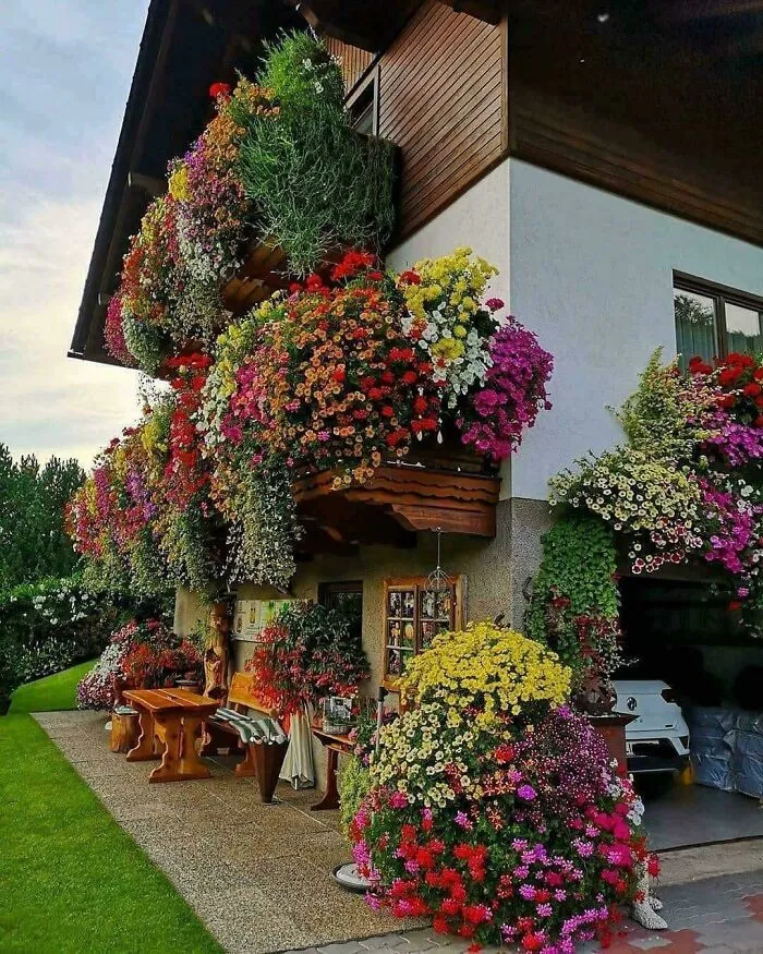 Impresionante