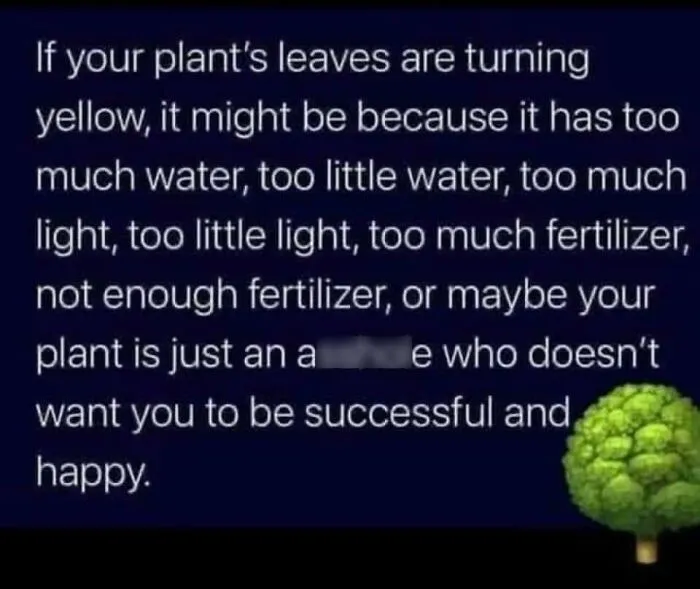 How To Garden