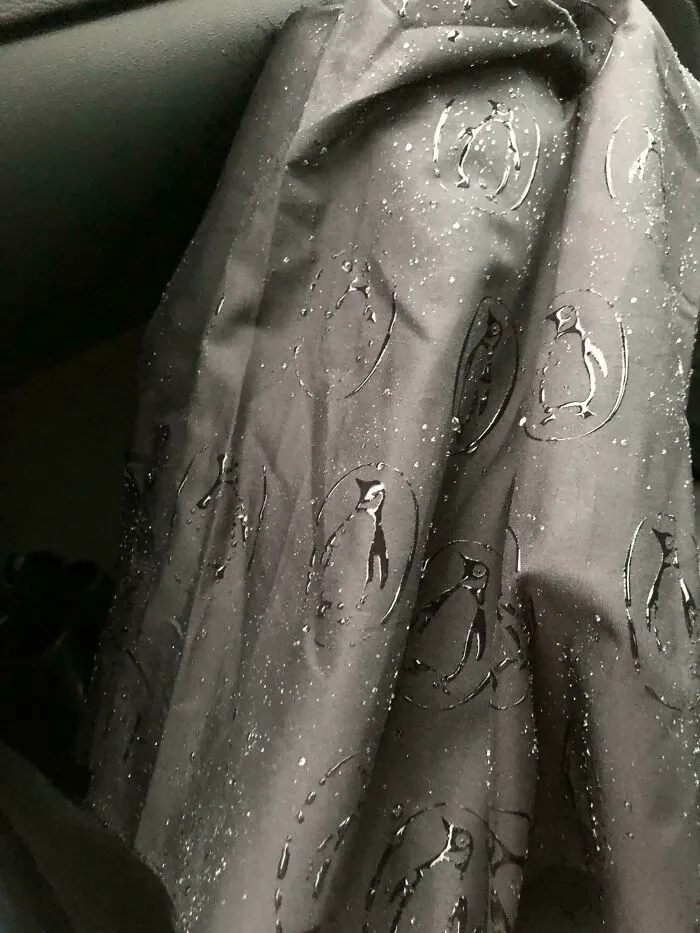 El estampado de mi paraguas solo se ve cuando está mojado