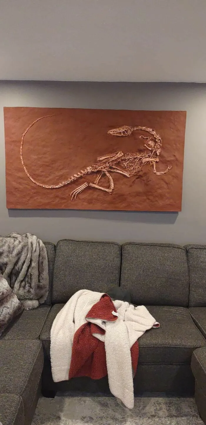 Had To Drive 14 Hours To Get Her, But I Finally Have My Little Own Coelophysis