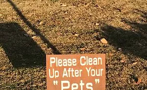 50 Hilarious Cases Of Misused Quotation Marks That Gave Hilarious Results (New Pics)
