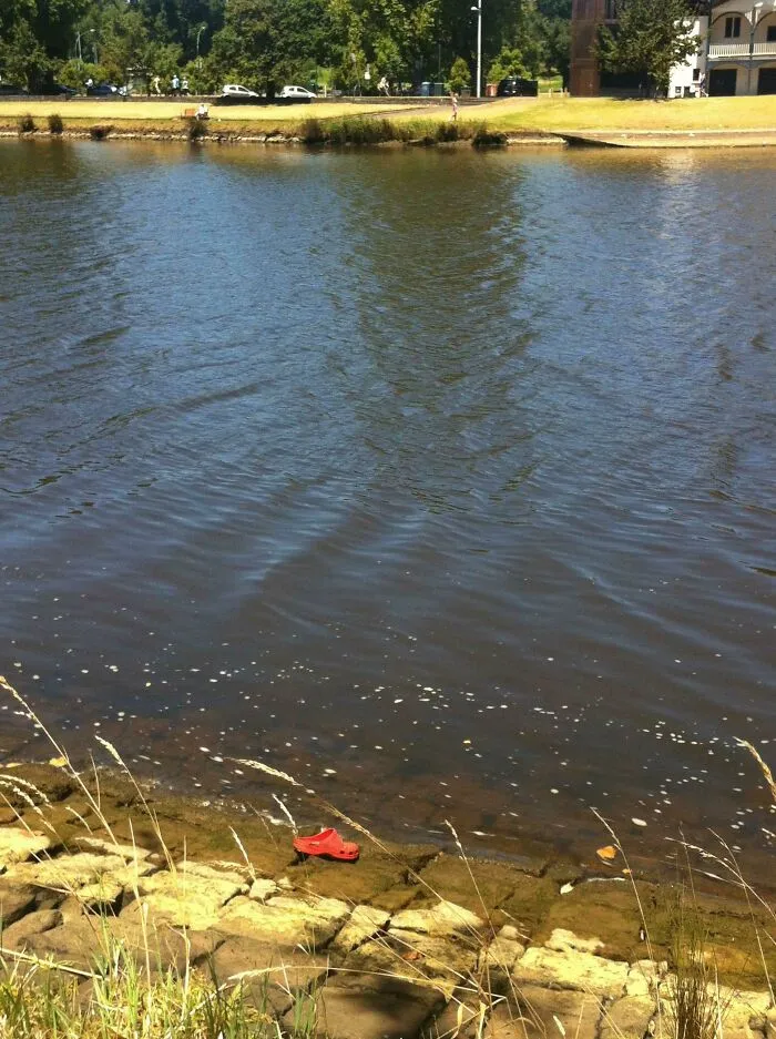 Deadly Croc Sunning Itself On The Banks Of The Yarra In Melbourne Cbd 