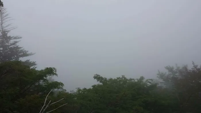 Viajé 3 horas en autobus para ver el monte Fuji y saqué esta foto alucinante