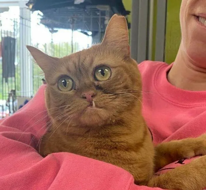 Everyone Needs To See Bittles