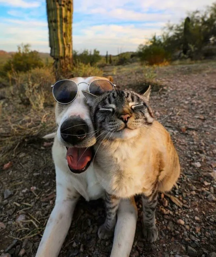 Mejor selfie