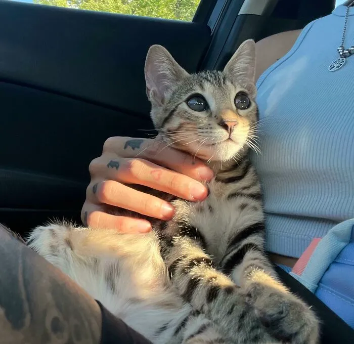 Mi pequeña Freya