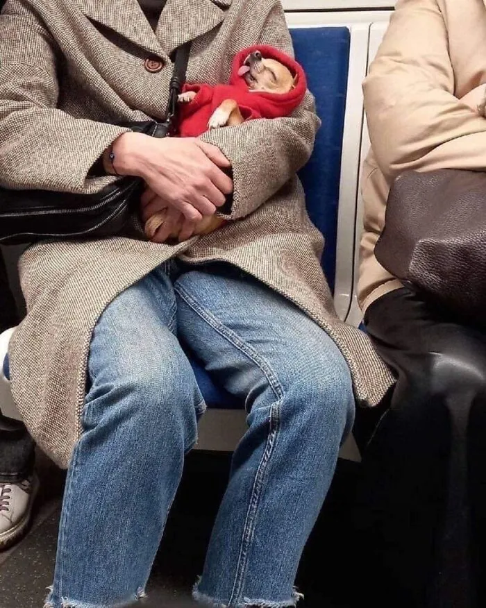 Commuter