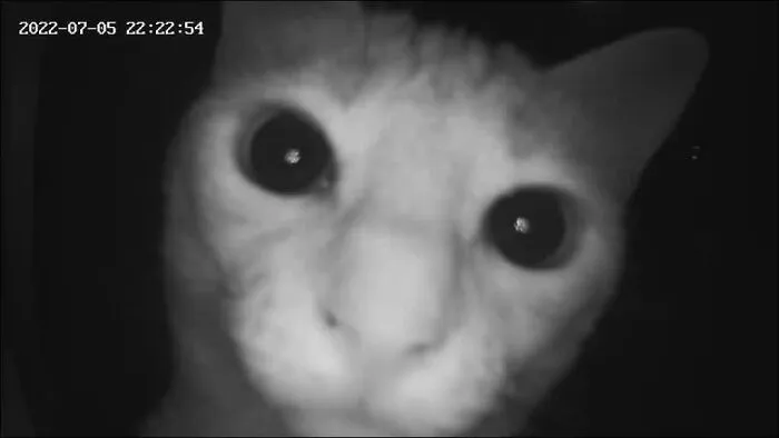 While On Vacation My Wife Received A Notification Of Movement In Our House I Think They Found The Cameras Lol