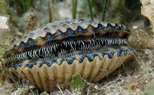 "71% Of The Earth's Surface Is Covered By Water", And These 50 Pics Of Deep Water Are Exactly The Reason Why That's Not Good